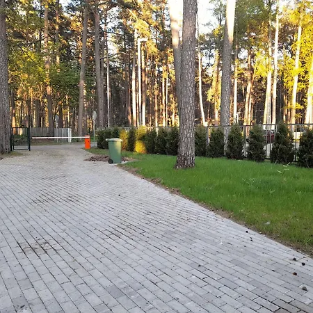 Dzintari