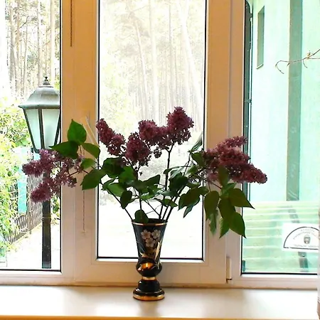 Dzintari Apartment